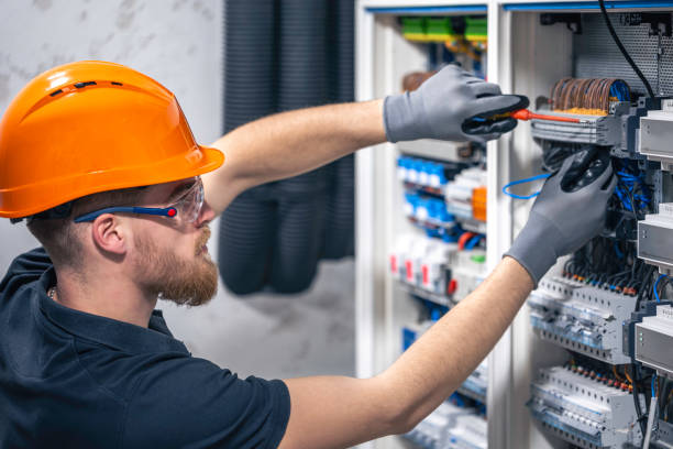 Best Electric Panel Repair  in Logan, IA